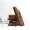 Formula 1 Express Healthy Meal Bars